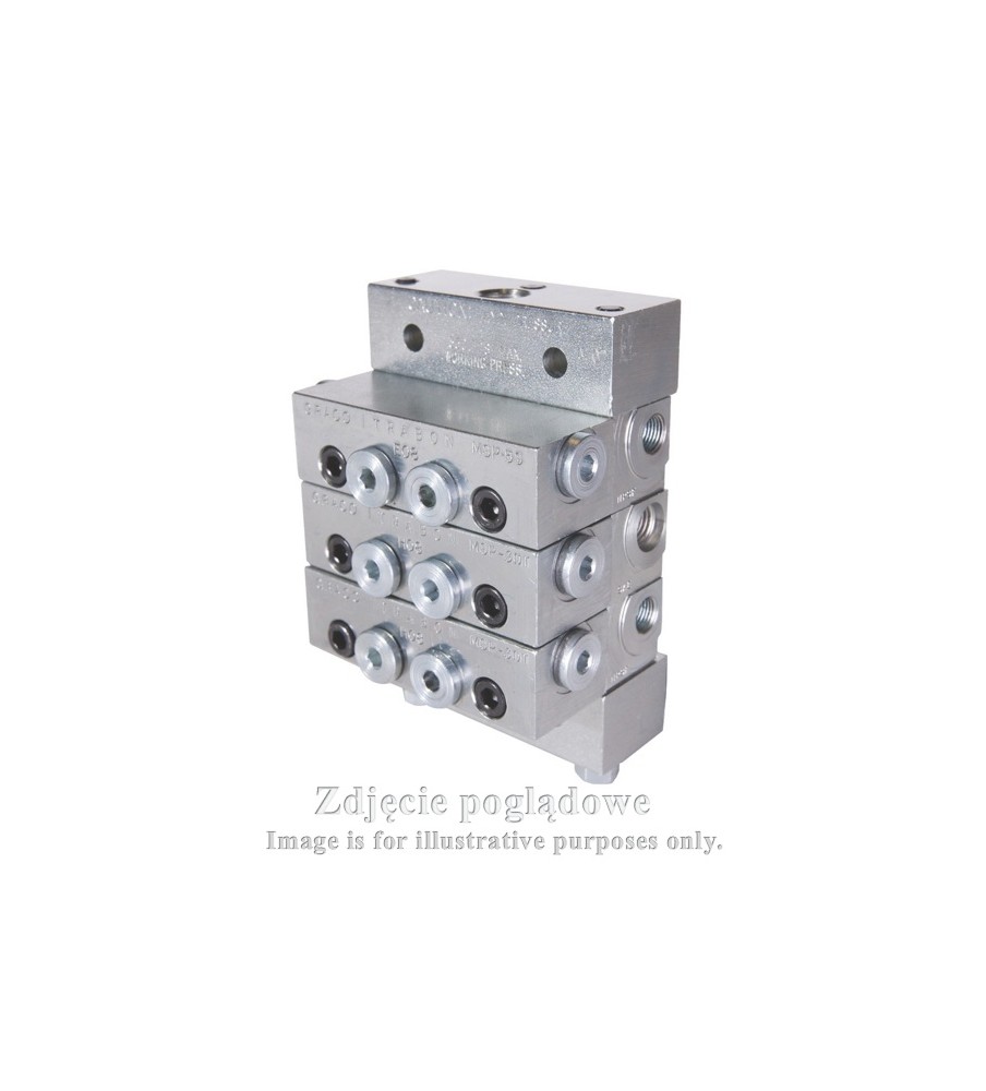 MSP-NPT-MS-6-25S-25S-10T-10T-10T-10T GRACO