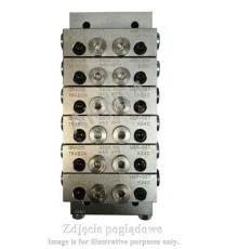 MSP-NPT-MS-6-30S-30S-30S-30S-30S-30S GRACO