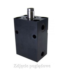 ZZY-025-008-DP-I002
