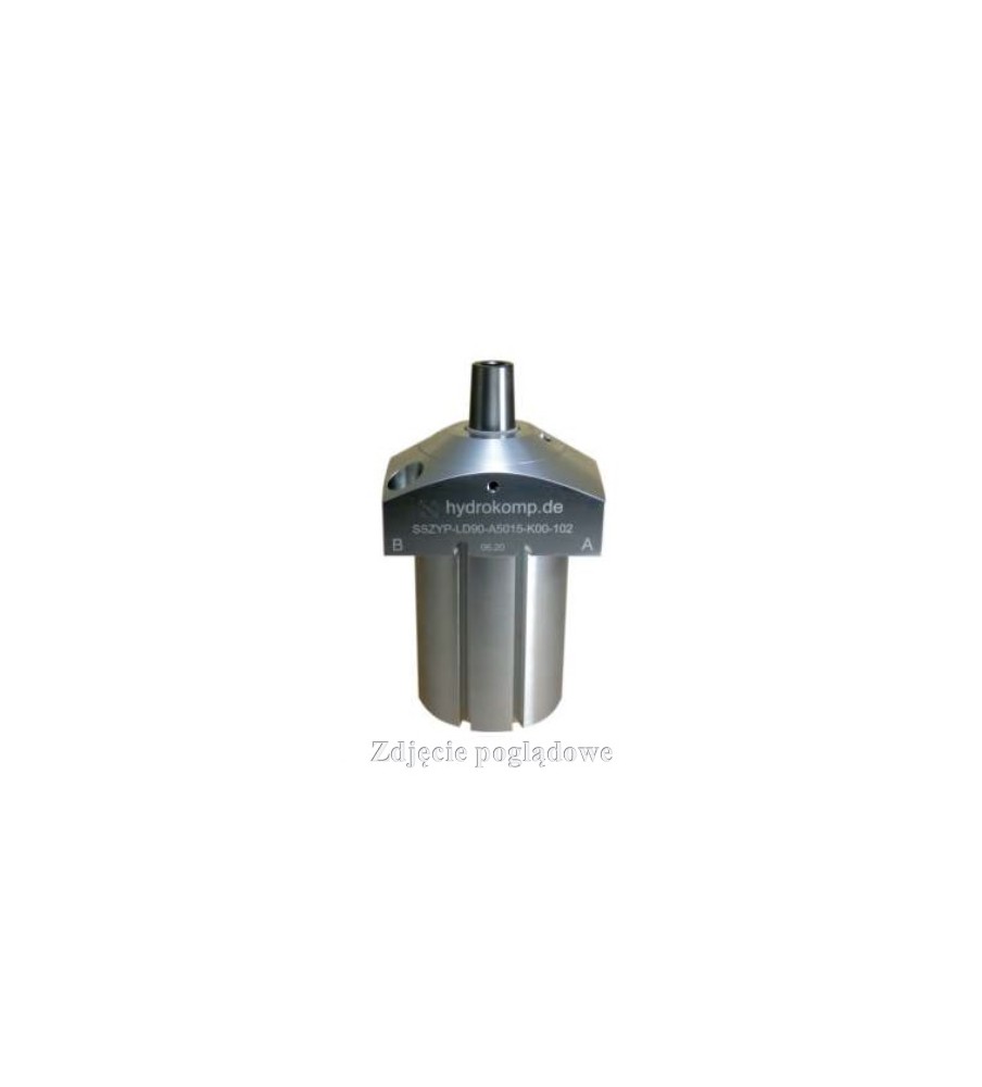 SSZYP-LD90-A2007-K00-001