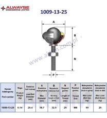 Kule transportowe 1009-13-25
