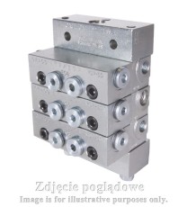 MSP-NPT-MS-5-10S-20T-20T-20T-20T GRACO